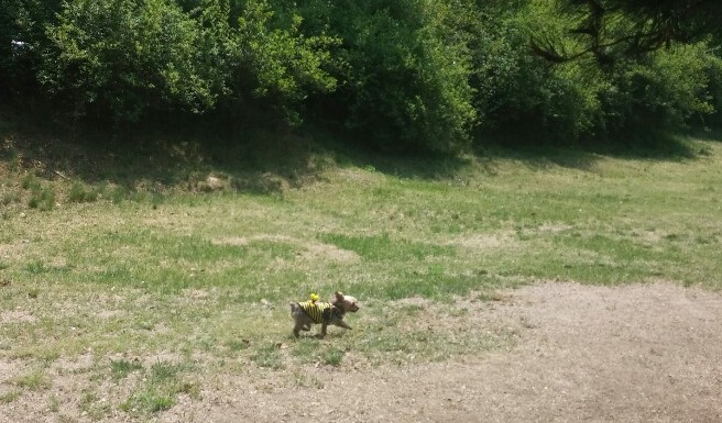 테리와 벌써 일년이네요^^ 