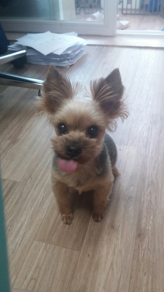 테리와 벌써 일년이네요^^ 