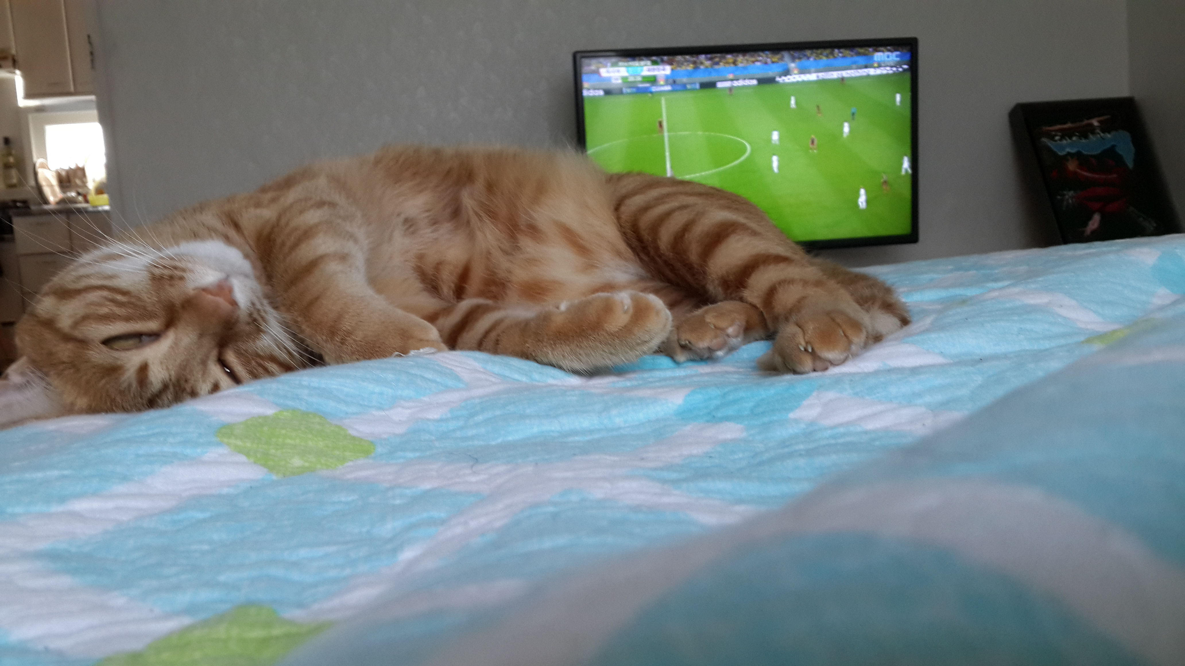 장화의 첫 월드컵