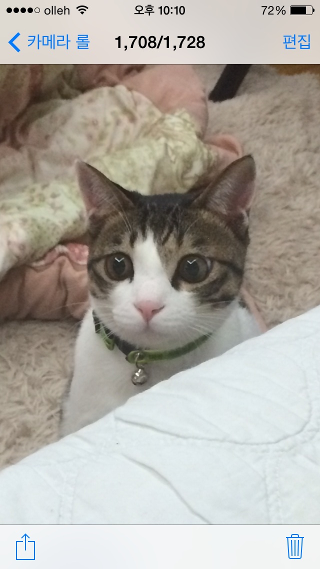 오랜만에 미키 인사드려요