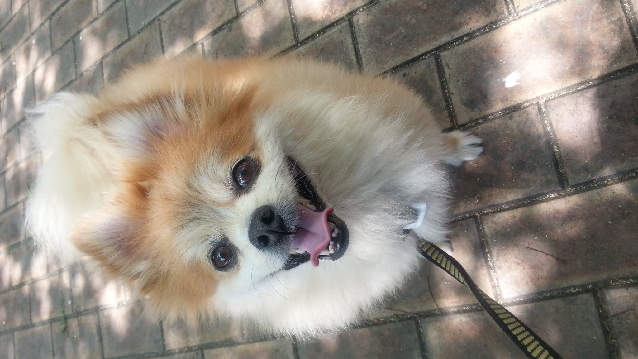 삼식이 아직 기억하시나요...?