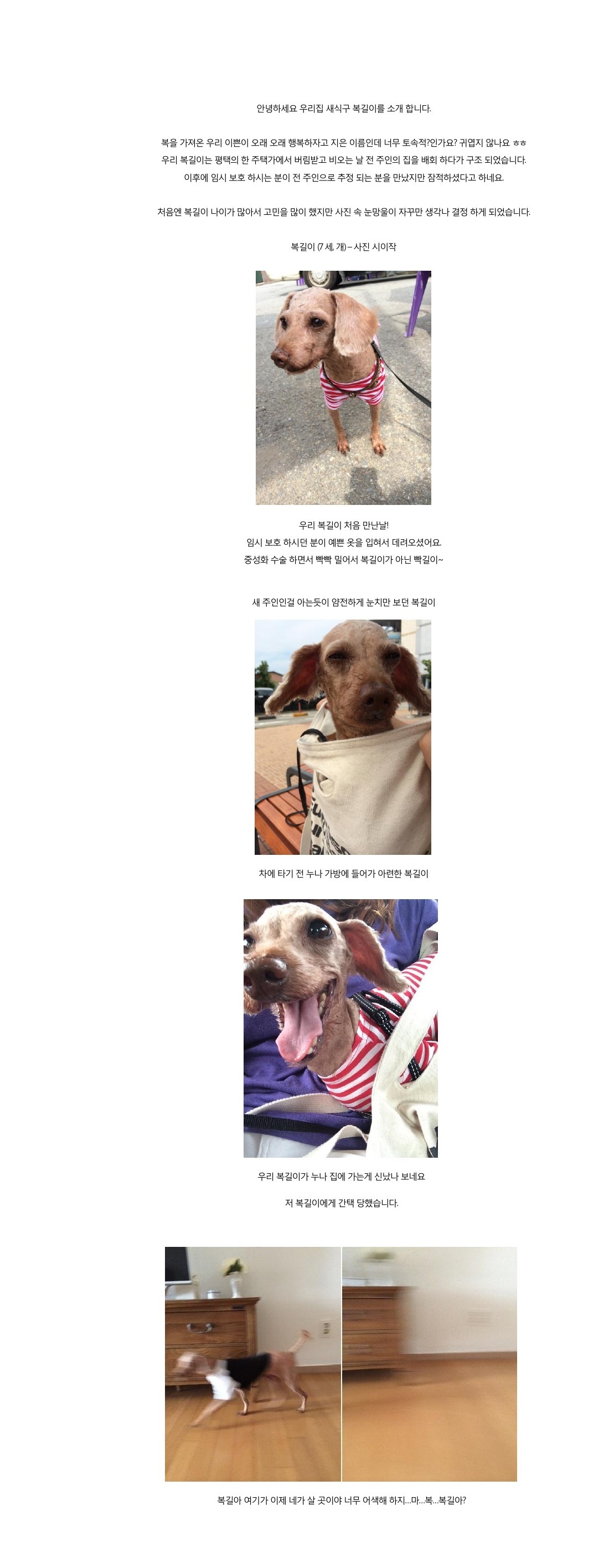 우리집 새식구 구 럭키 현 복길이 소개합니다.  