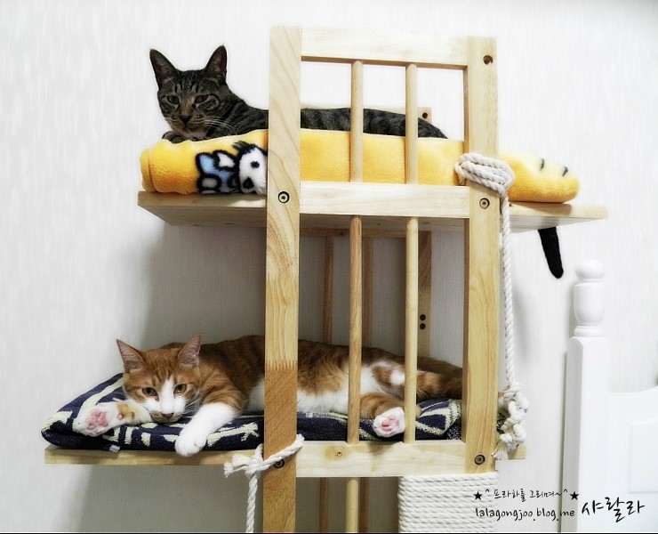 미유랑 네코 잘 지내고 있습니다.^^