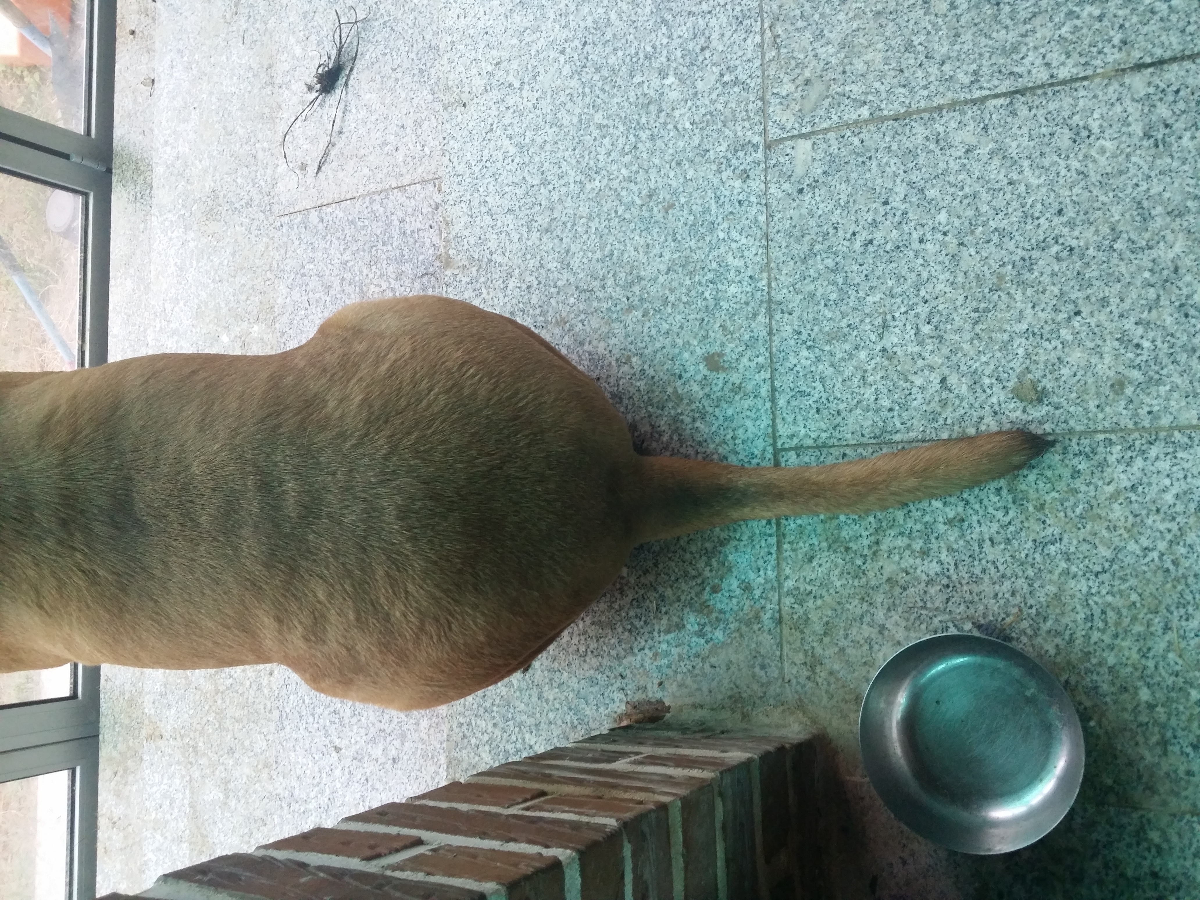 영심이 몸매는?