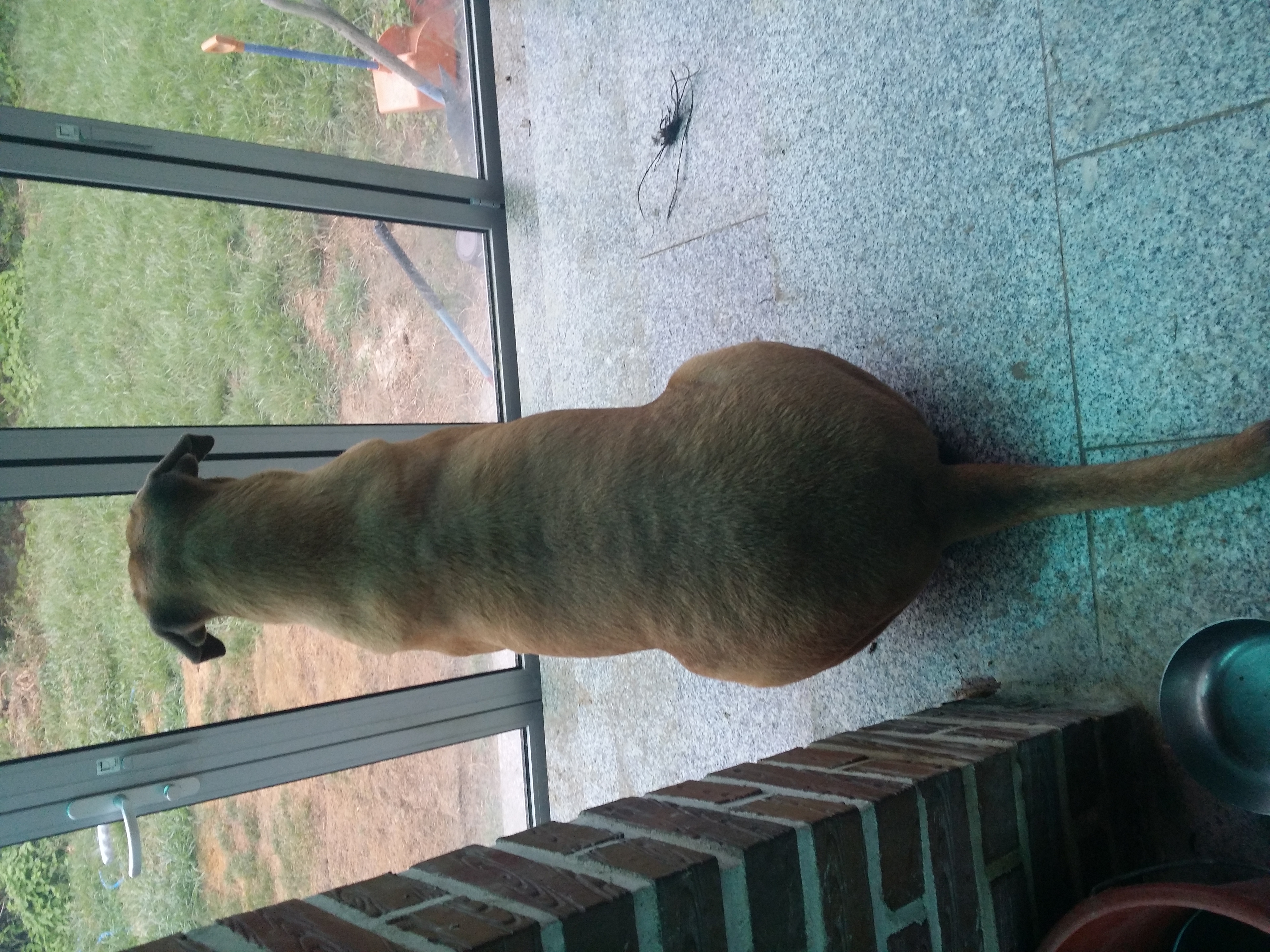 영심이 몸매는?