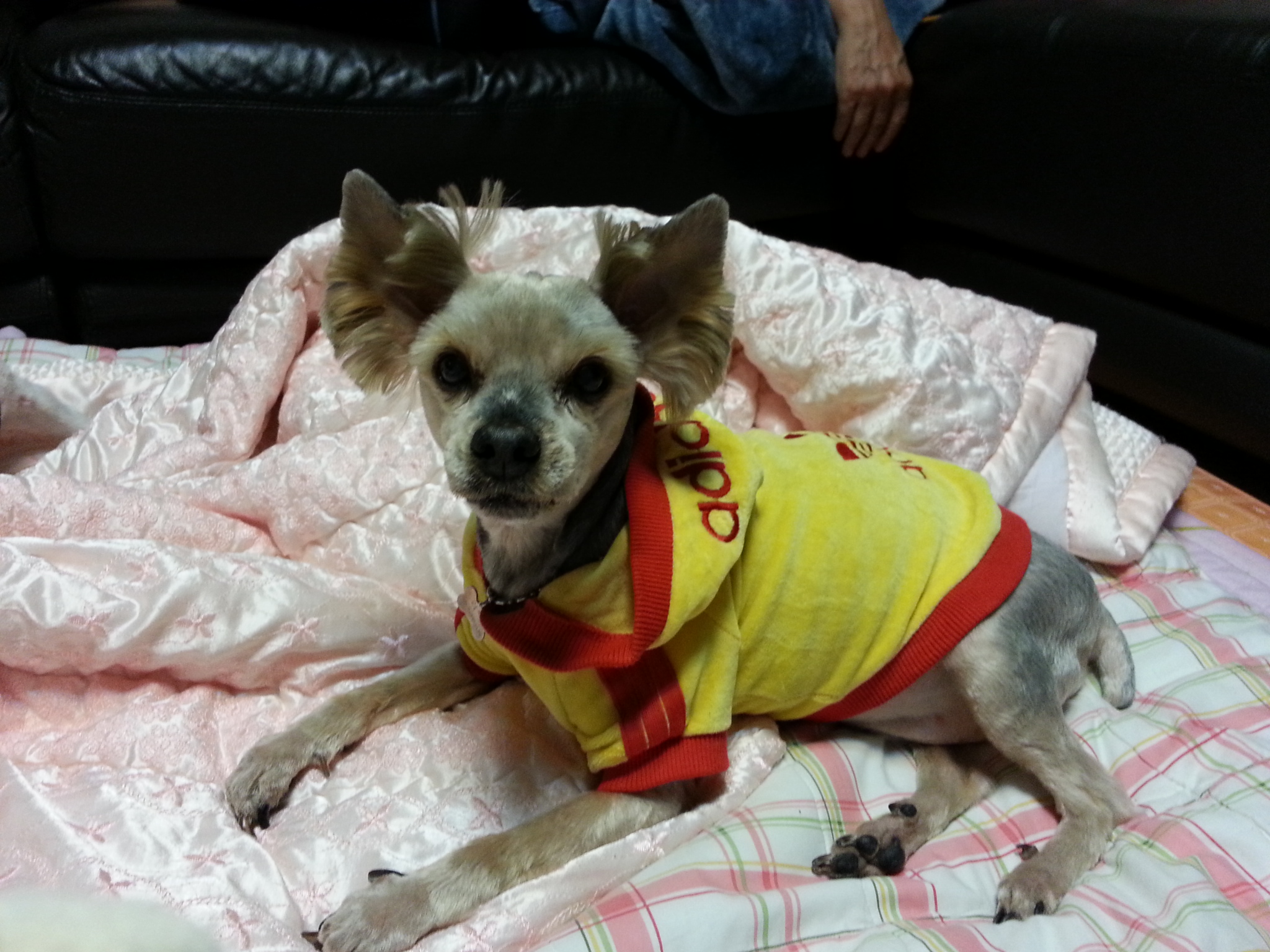 이제는 나이든 할배 럭키...