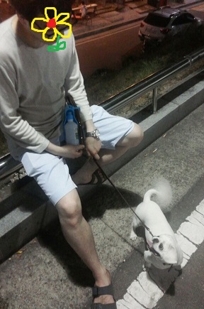 제제(로미오) 소식 전합니다 :-)