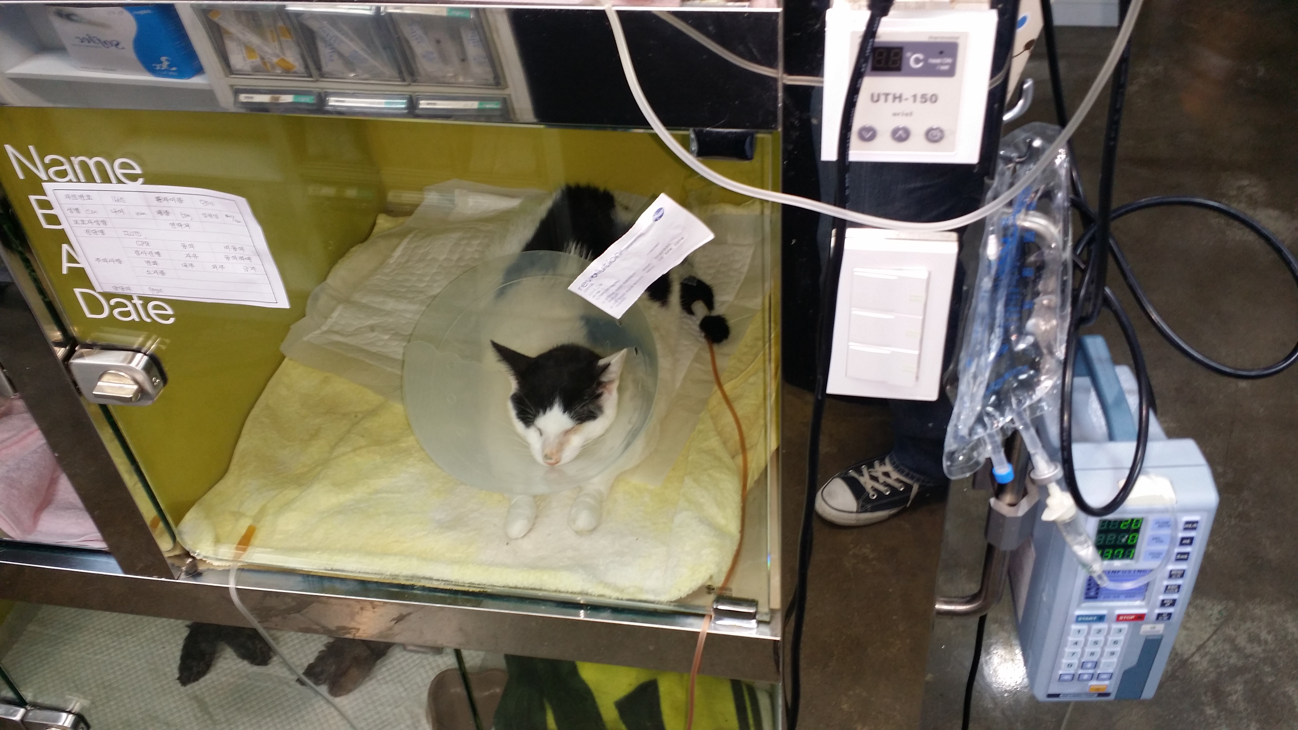 단테 3차후기...^^