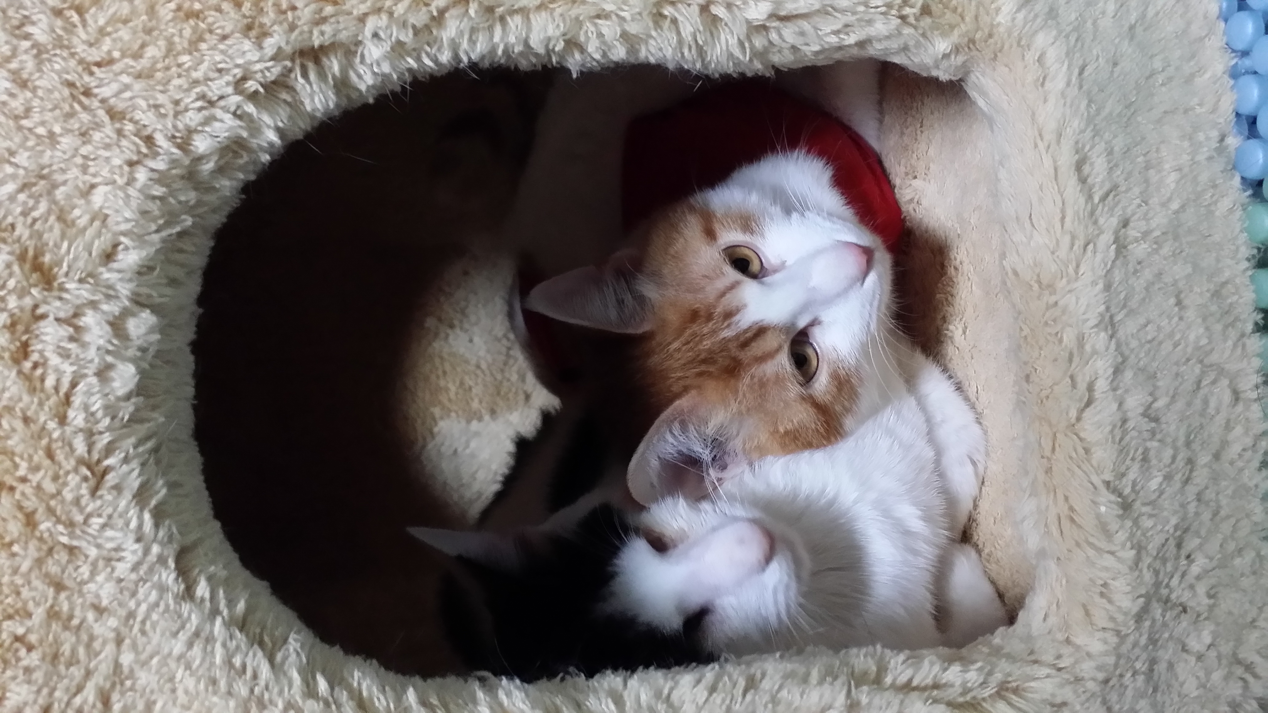 단테 3차후기...^^