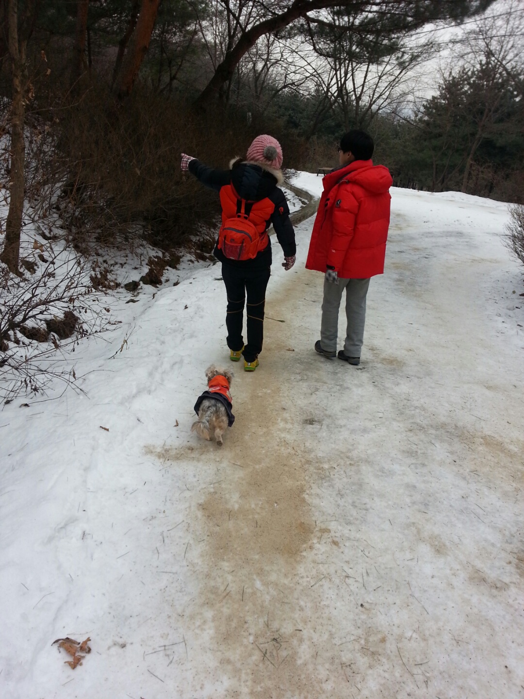 오랜만에 꾸미 근황이에요~~