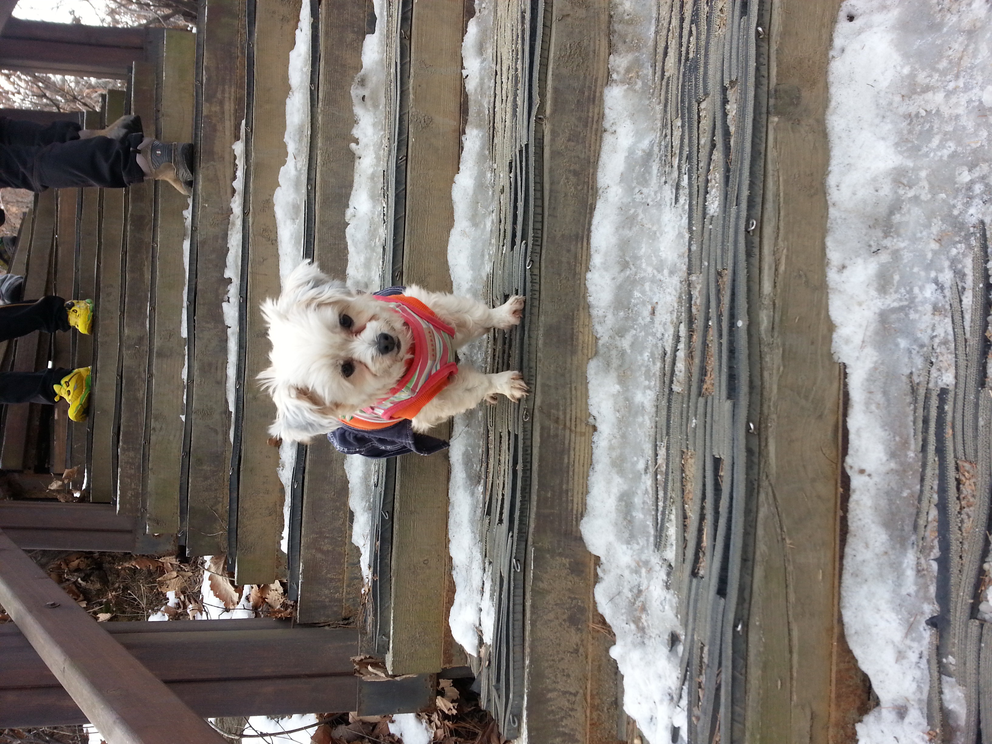 오랜만에 꾸미 근황이에요~~