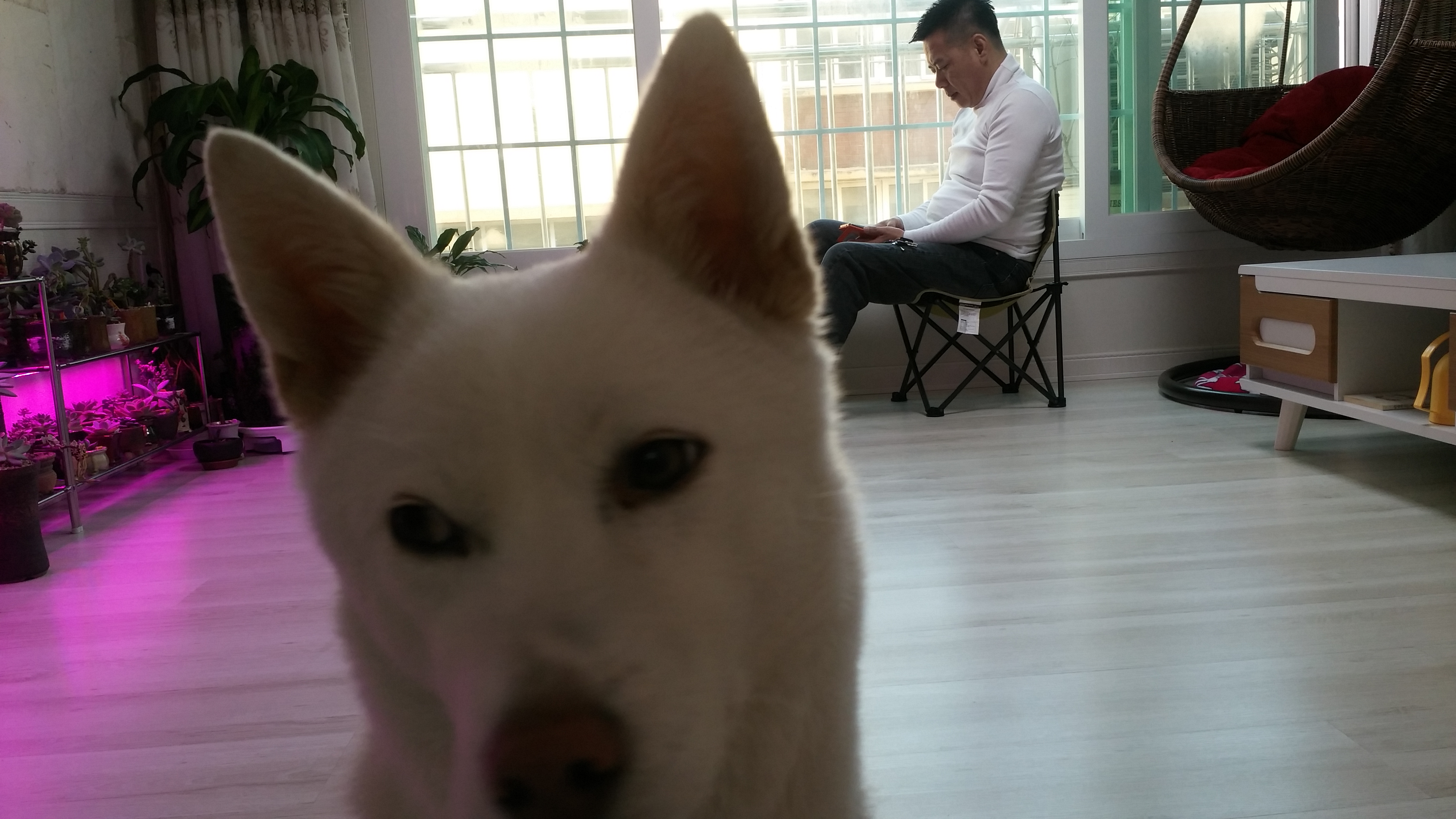 리나 3번째 입양 후기에요~