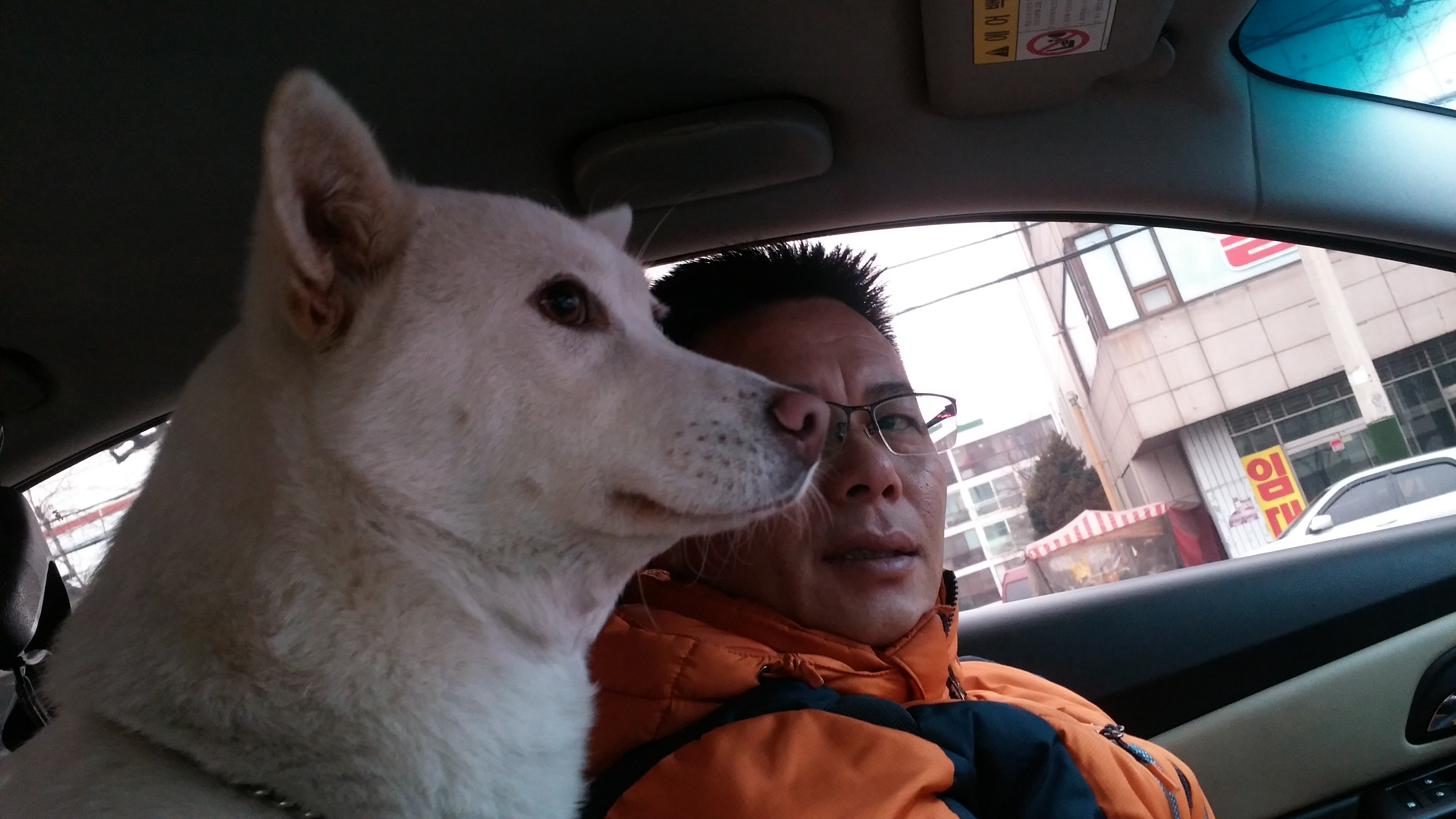 리나 3번째 입양 후기에요~