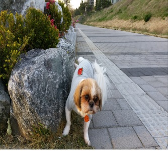 몽이(^^)인천왔어용~