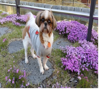 몽이(^^)인천왔어용~