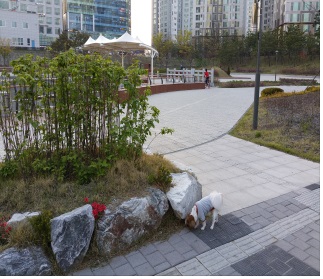 몽이(^^)인천왔어용~