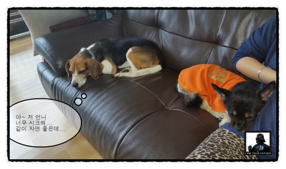 이제 '미키'가 된 루키아 입니다...^^