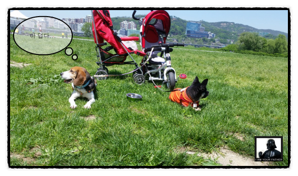 이제 '미키'가 된 루키아 입니다...^^