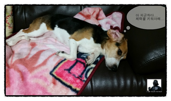 이제 '미키'가 된 루키아 입니다...^^