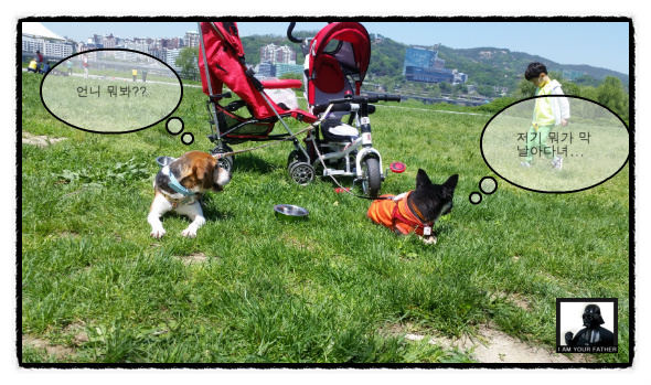 이제 '미키'가 된 루키아 입니다...^^