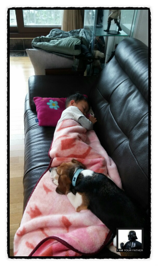 이제 '미키'가 된 루키아 입니다...^^