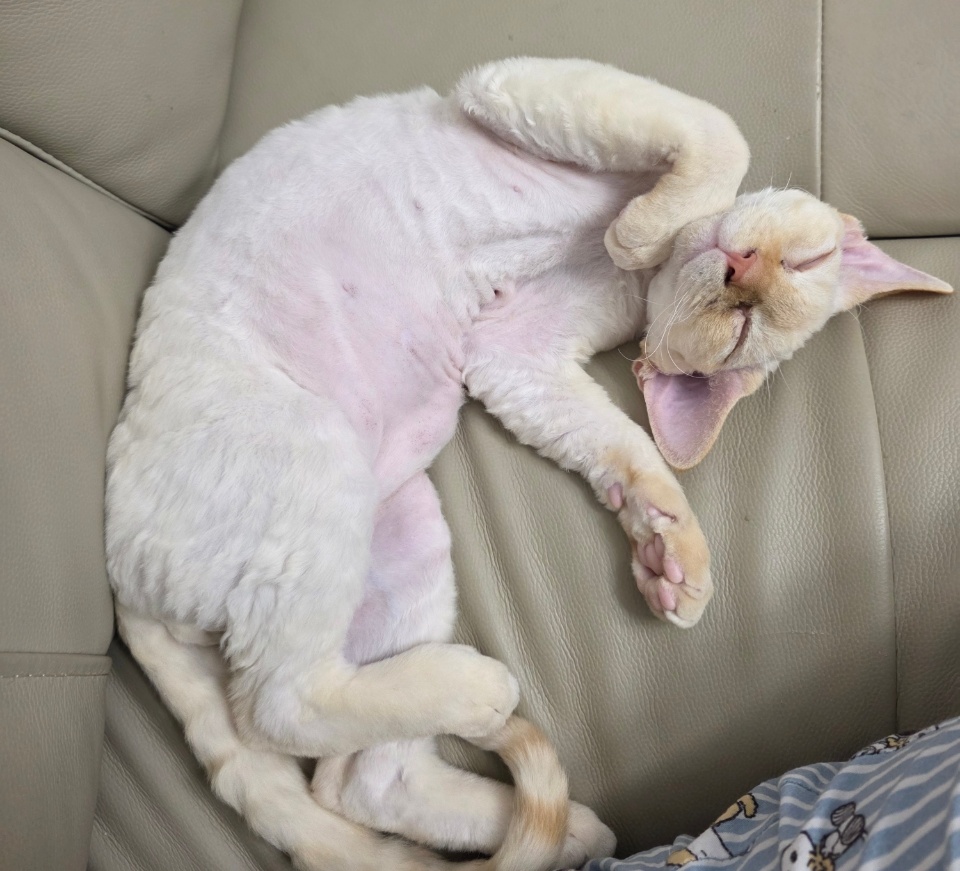 단하 3개월 간의 기록