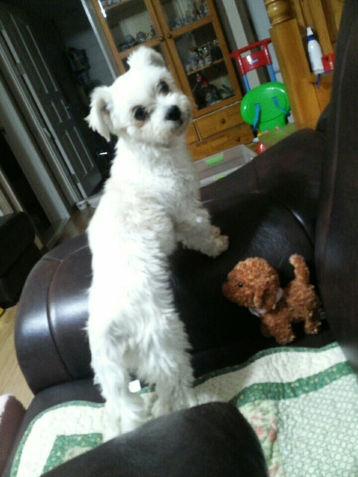 달콩(홍당무)이 일주일 지났어요