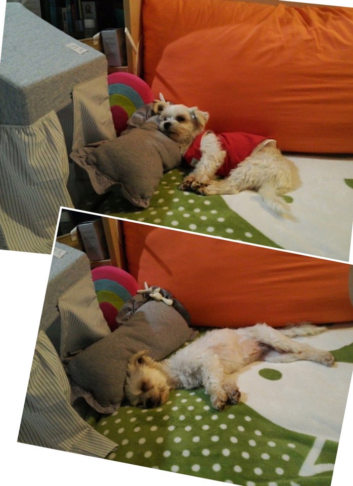 달콩(홍당무)이 일주일 지났어요