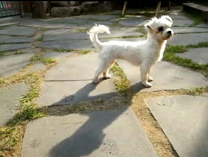 달콩(홍당무)이 일주일 지났어요