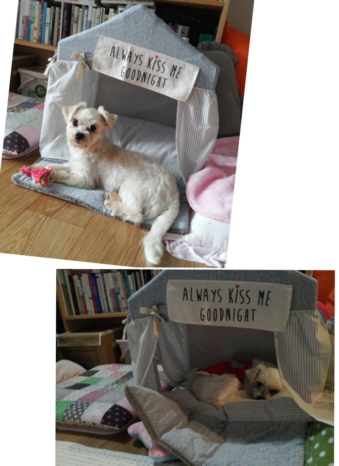 달콩(홍당무)이 일주일 지났어요