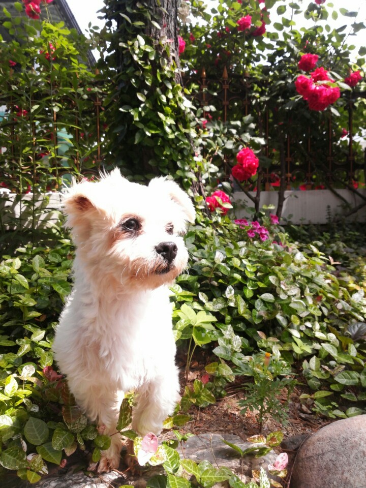 달콩(홍당무)이 일주일 지났어요