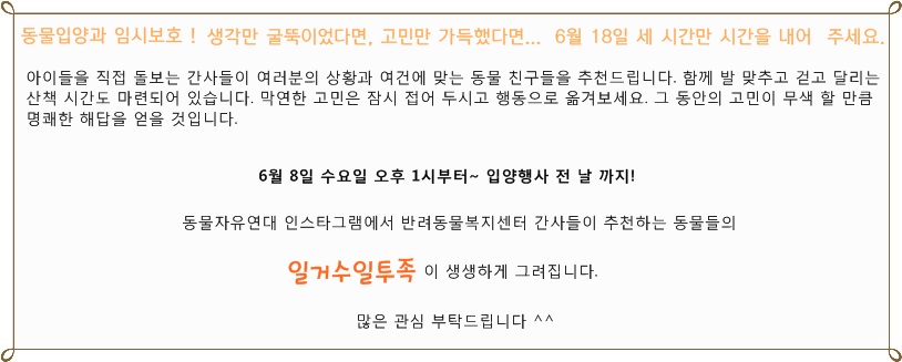 6월 18일 <깜짝 입양행사>에 입양가족 여러분을 초대합니다~!