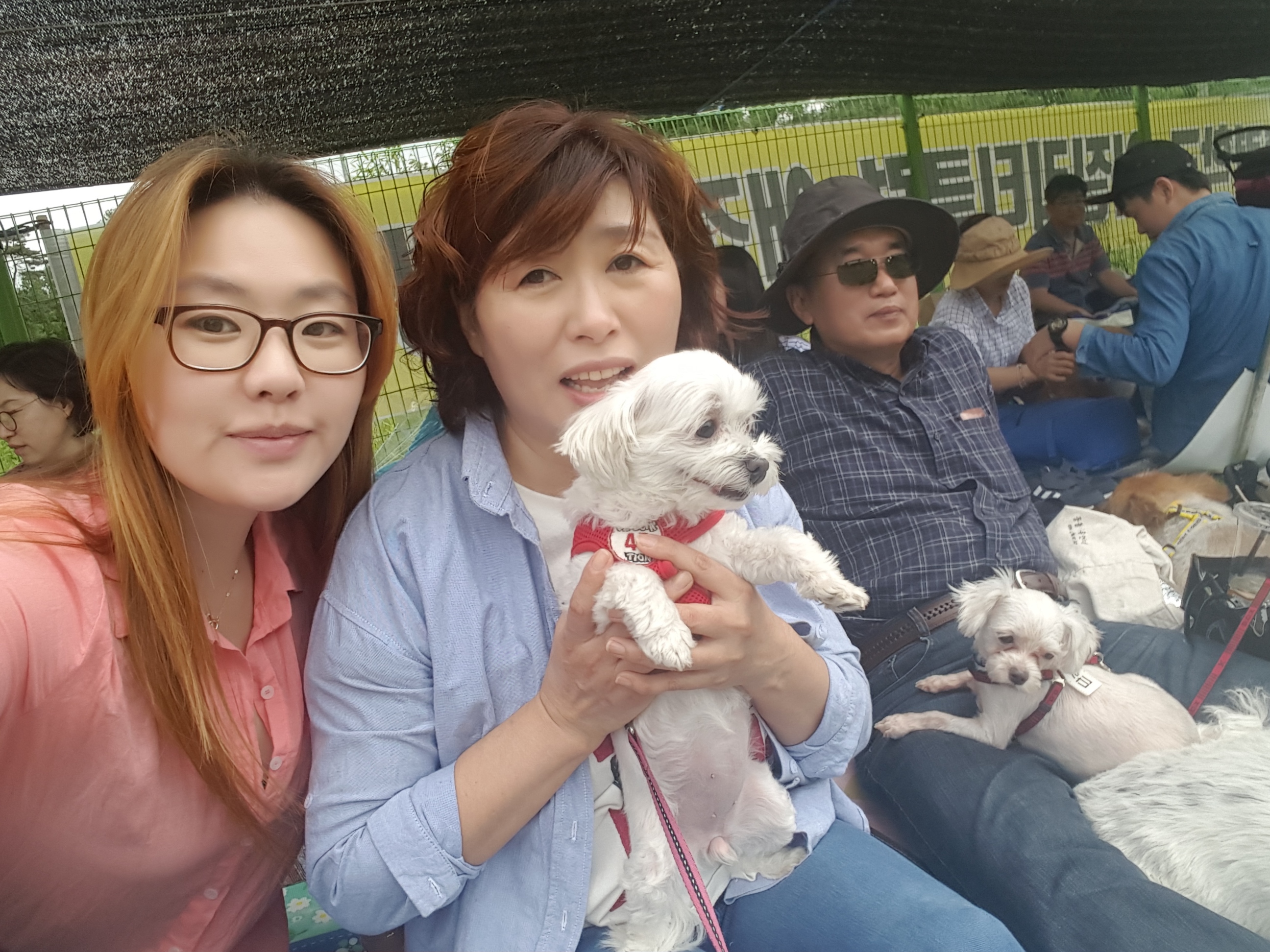 사랑이(흰둥이) 입양한지 벌써1년 ..