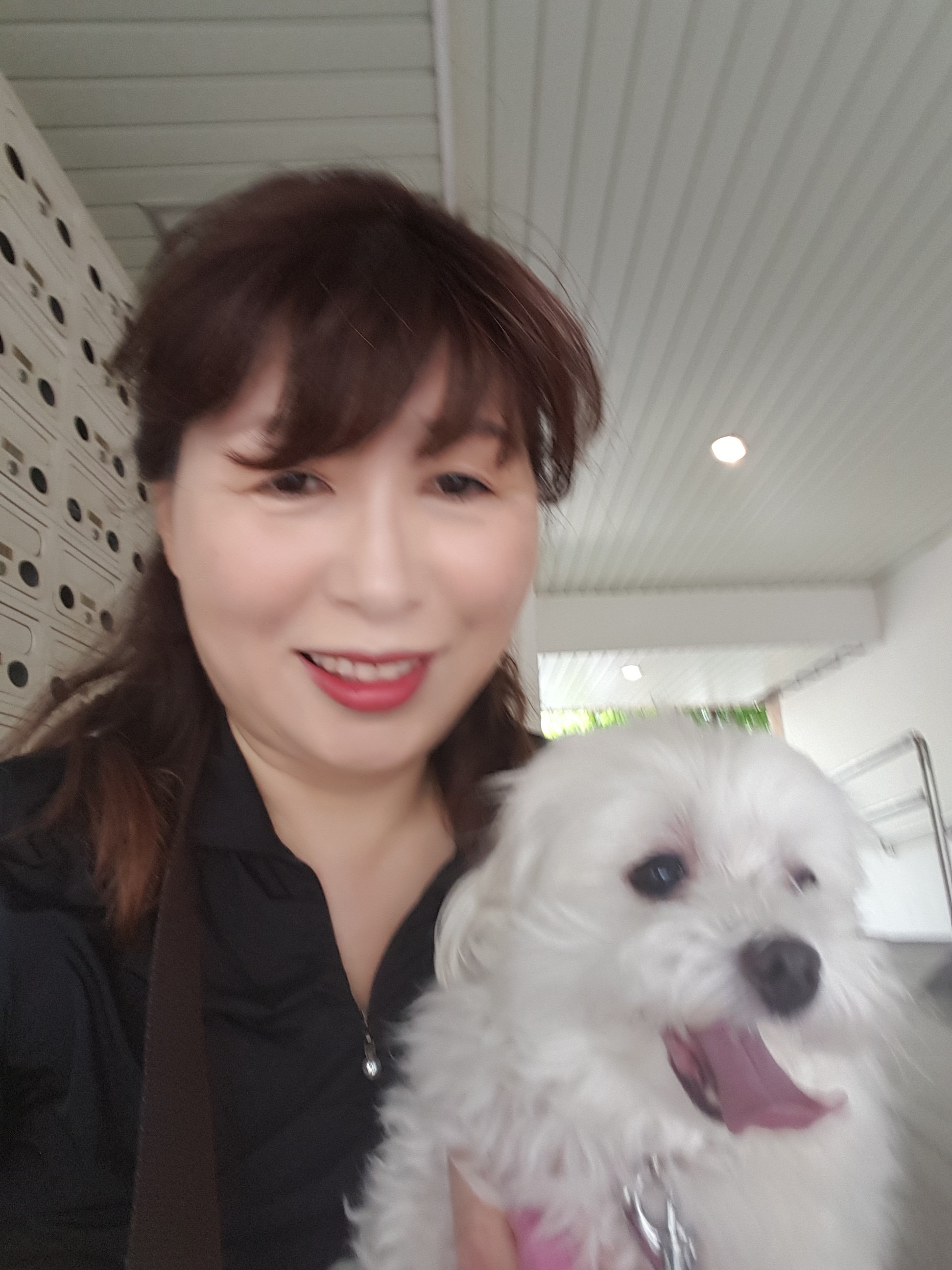 사랑이(흰둥이) 입양한지 벌써1년 ..