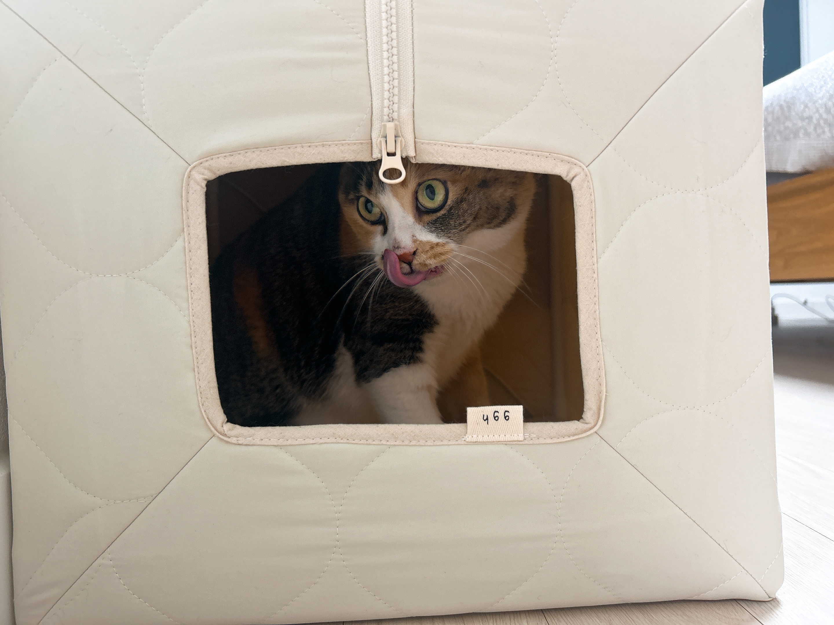 샹떼와 두 번째 여름을 나고 있습니다