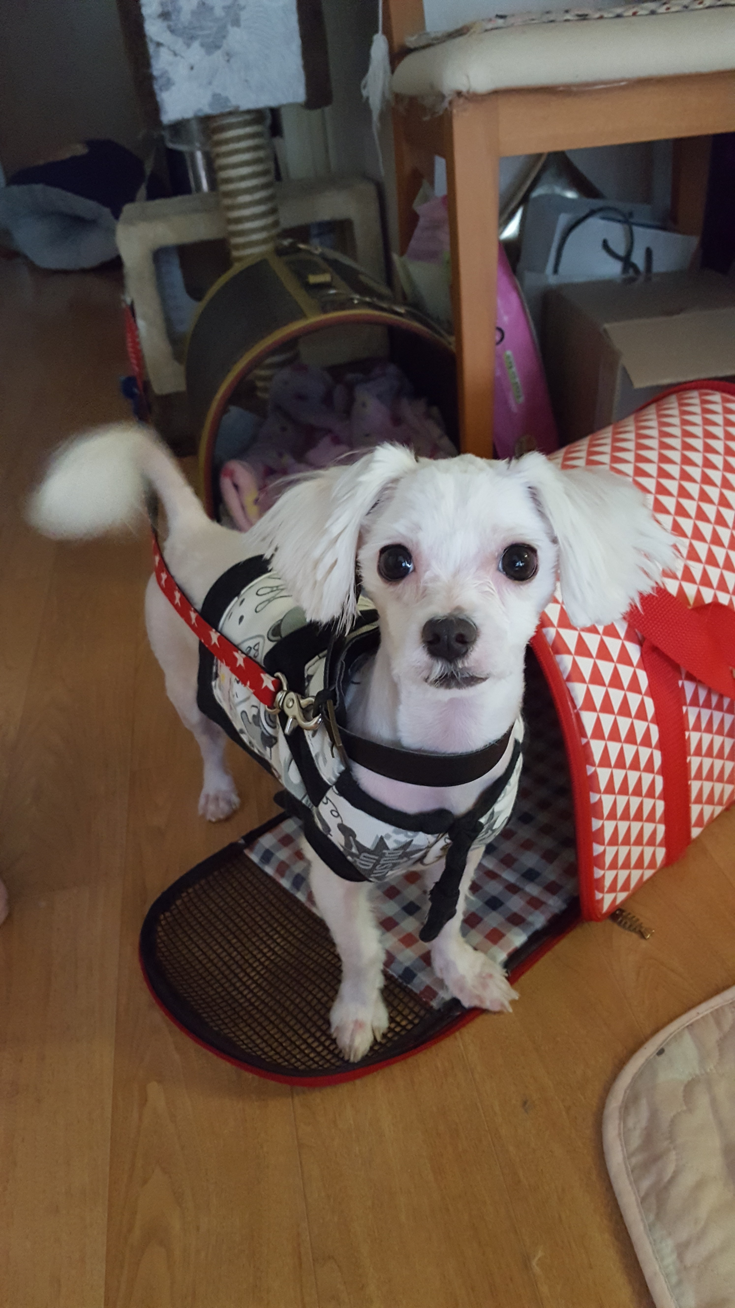 사랑이 오랫만에 글올려요