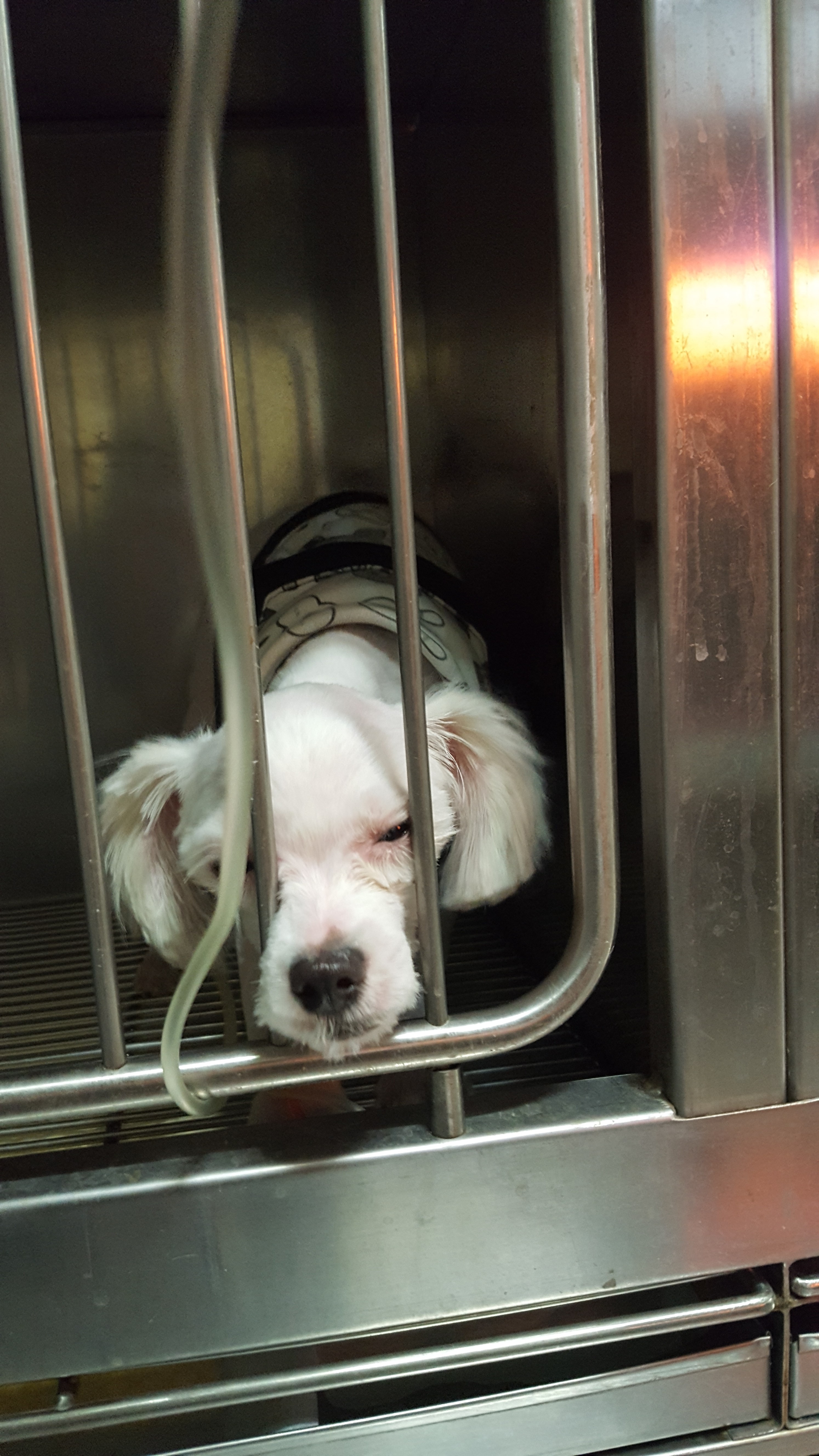 사랑이 오랫만에 글올려요