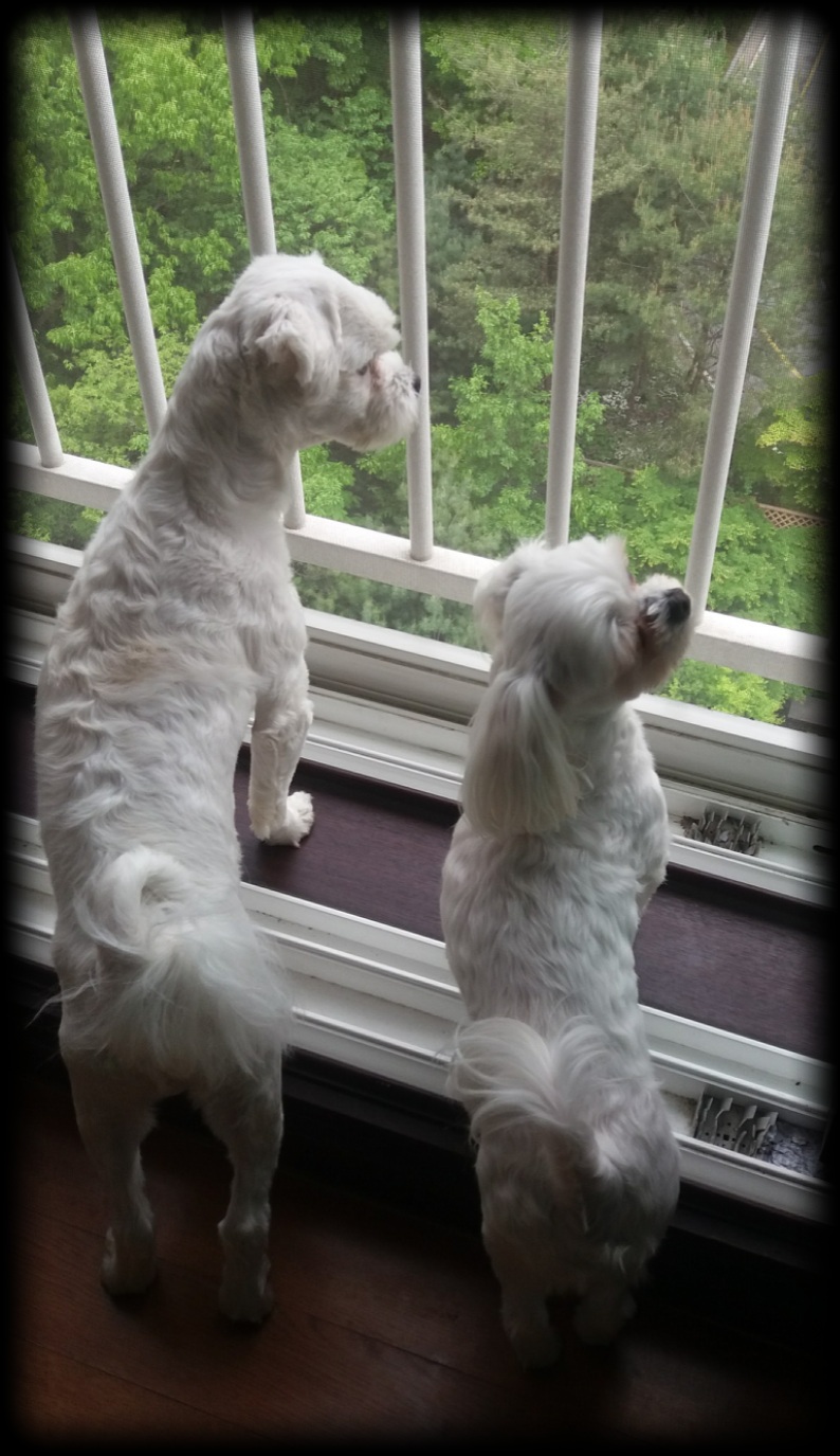 젤리(4개월차) 는 잘 지내고 있어요~~^^