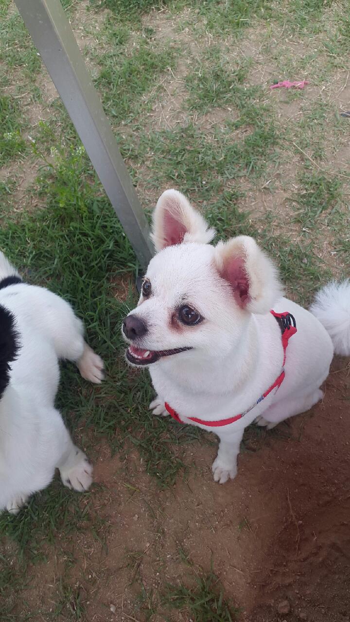 세모 잘 지내고 있습니다~