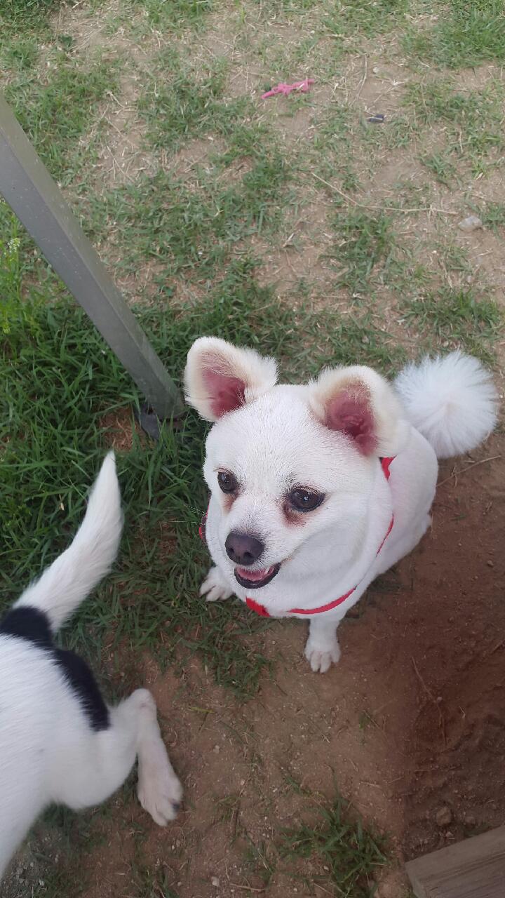 세모 잘 지내고 있습니다~