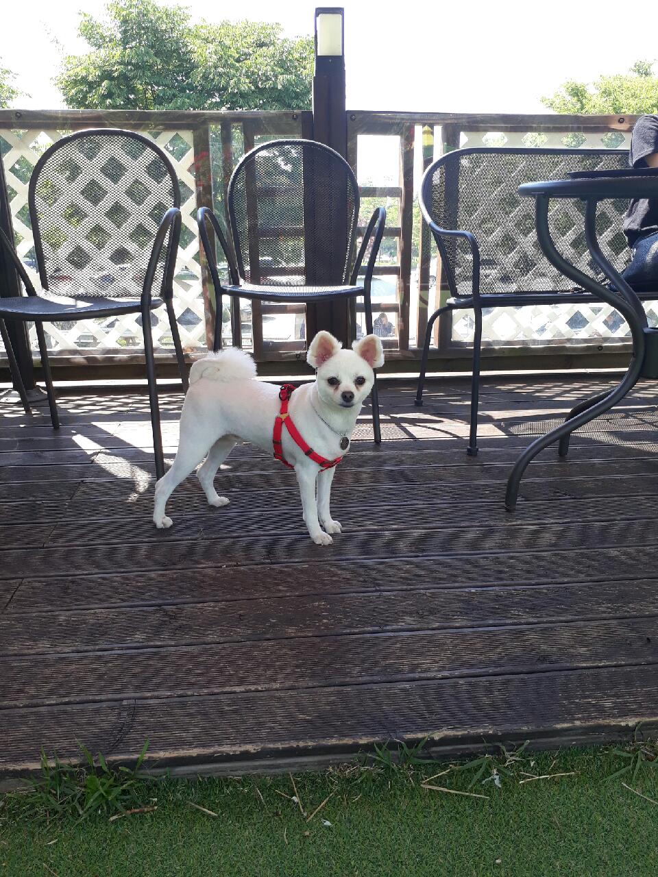 세모 잘 지내고 있습니다~