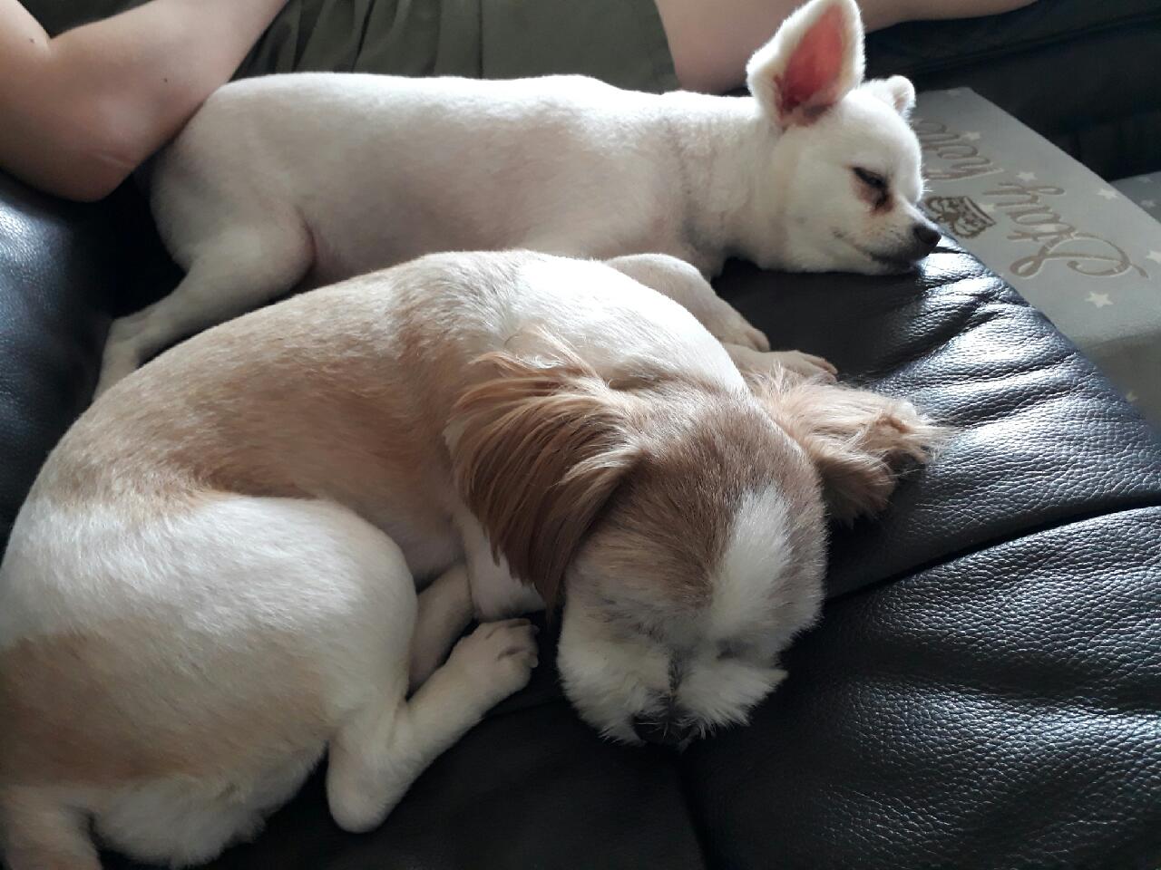 세모 잘 지내고 있습니다~