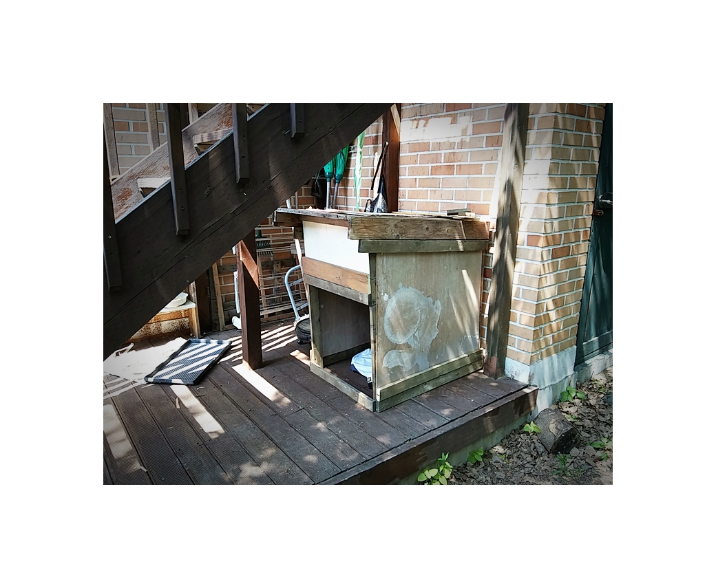 연지(지금은 뭉치) 잘 크고 있습니다.