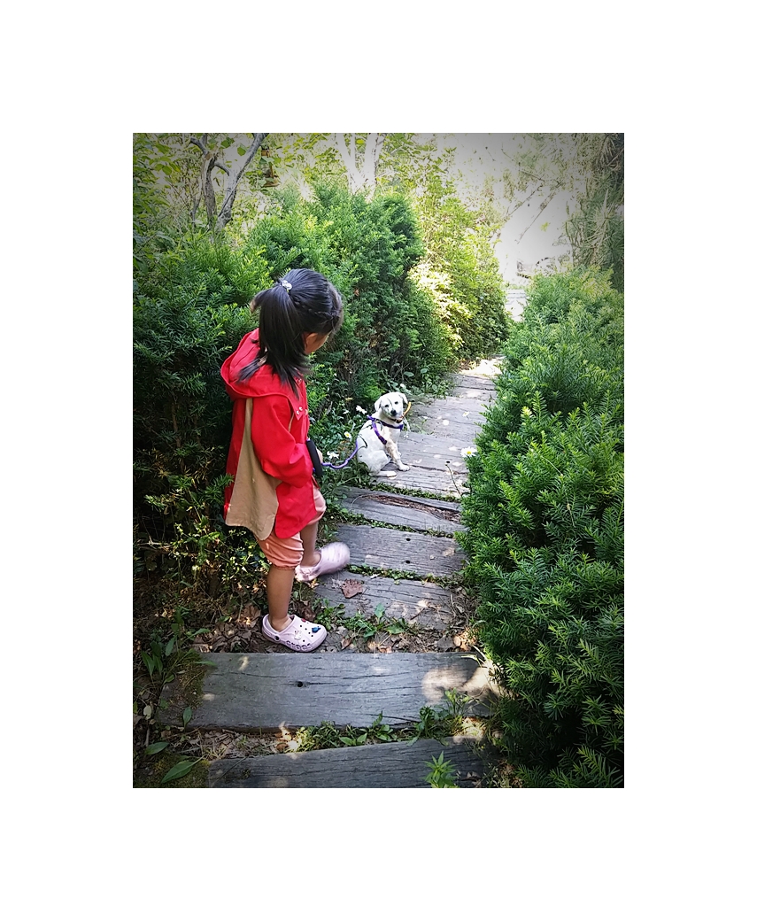 연지(지금은 뭉치) 잘 크고 있습니다.