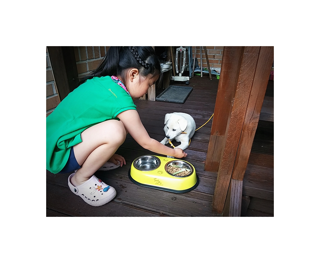 연지(지금은 뭉치) 잘 크고 있습니다.