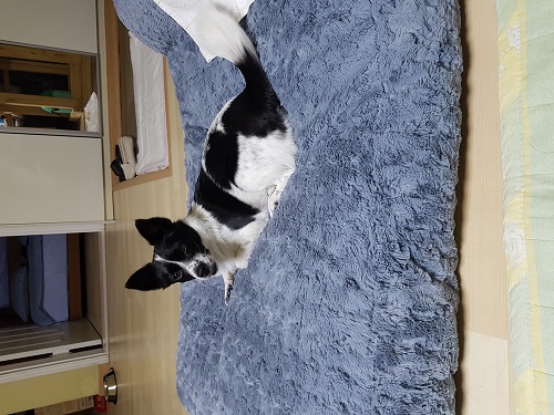 아직은 낯설어해요