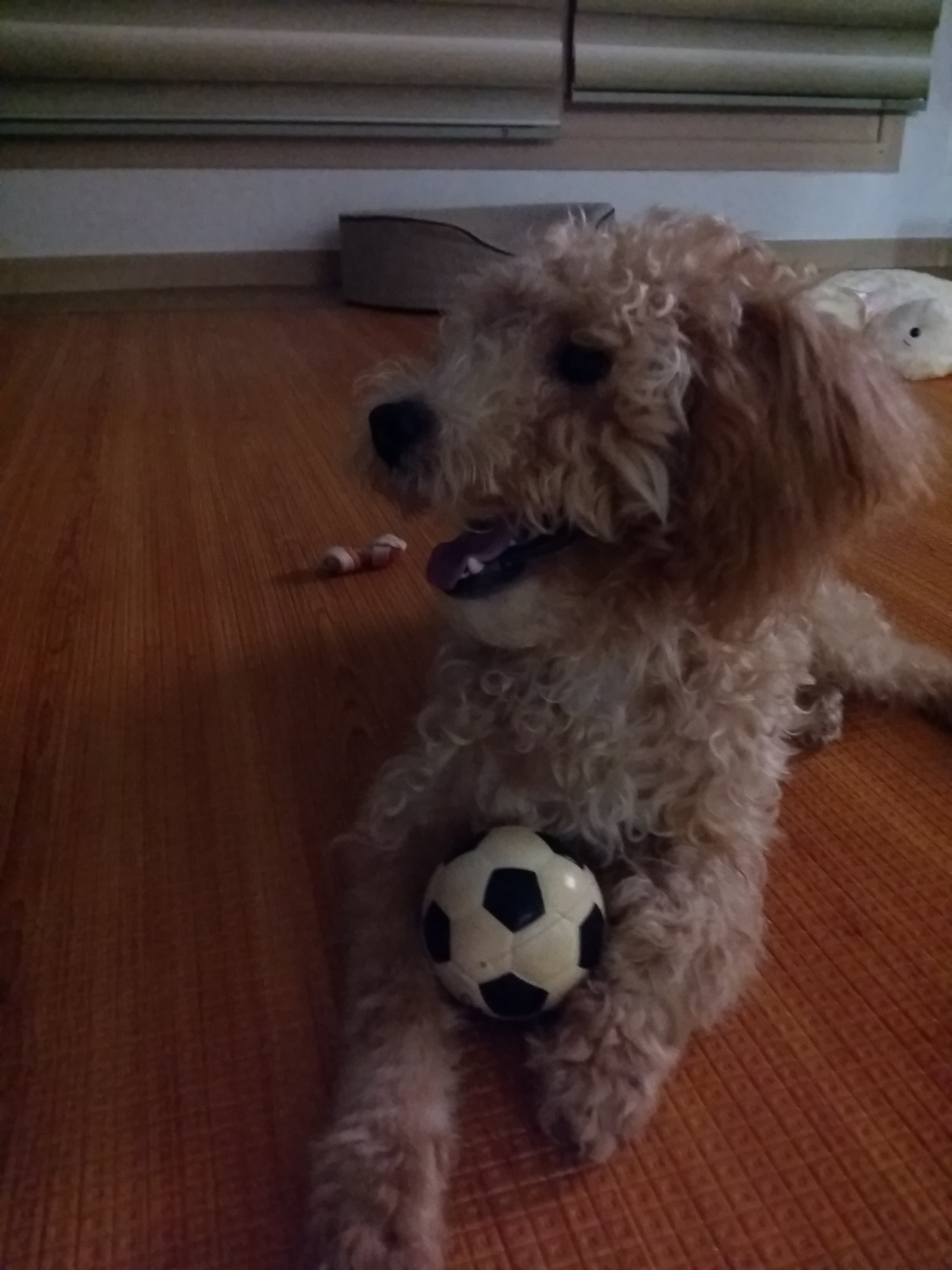 승지(토토)세번째 이야기