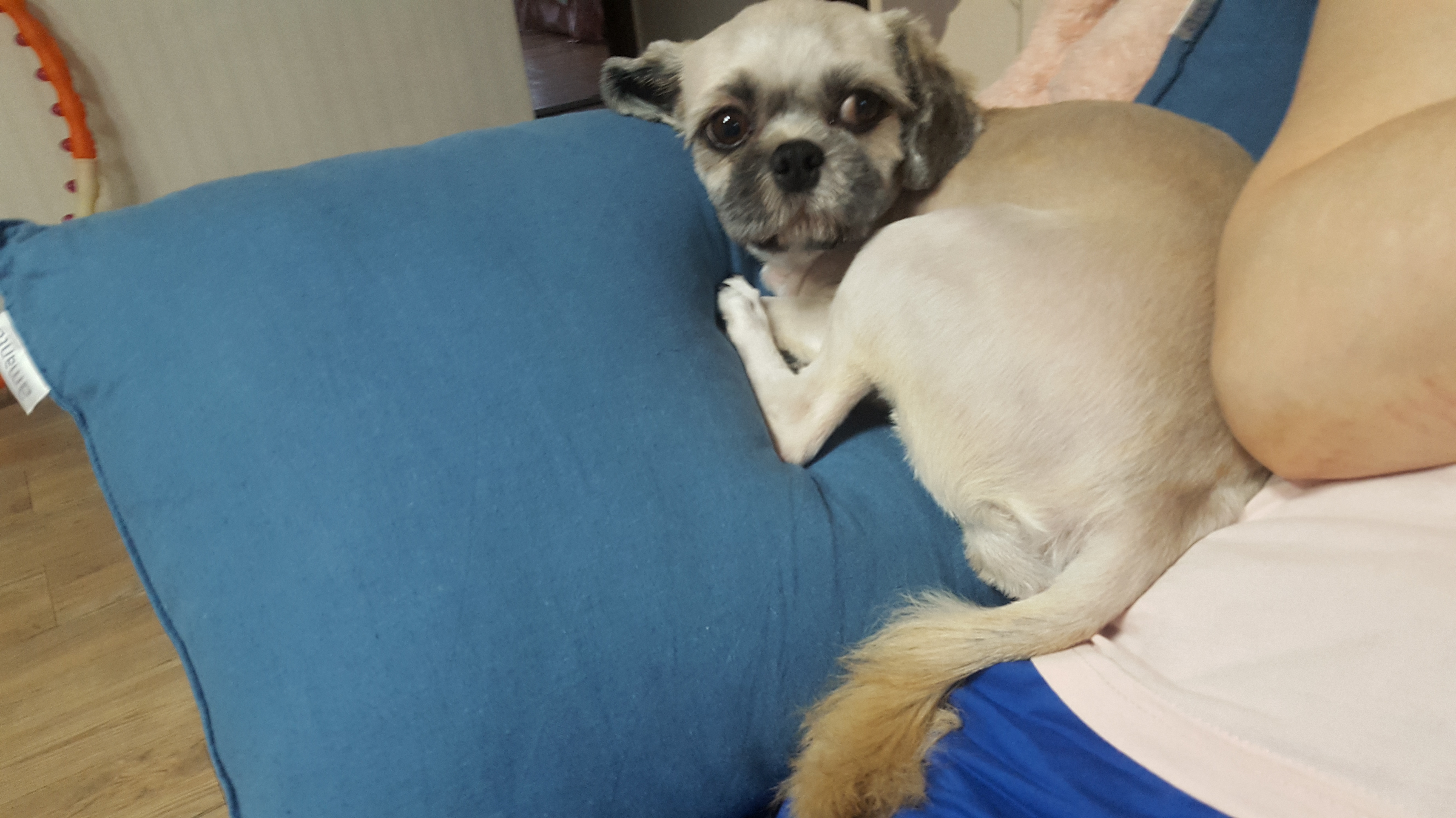 마음이(지금이름은 연두)