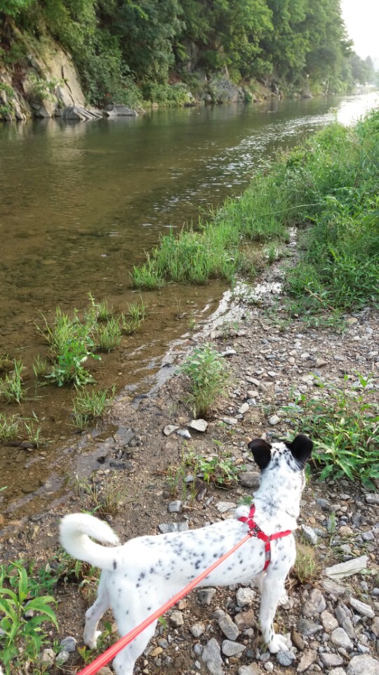 콩이에서 머리로