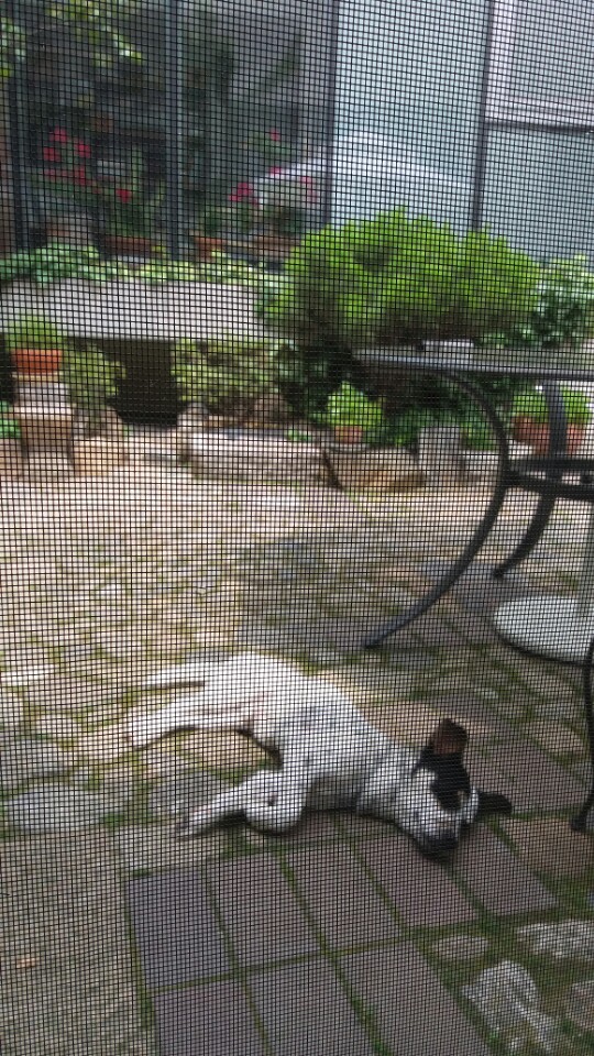 콩이에서 머리로